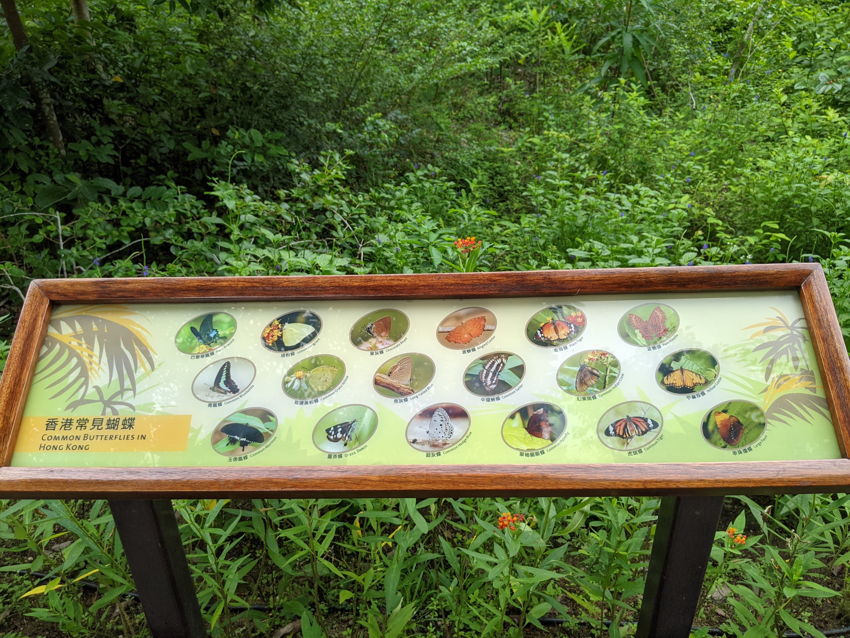 Butterfly Garden signage