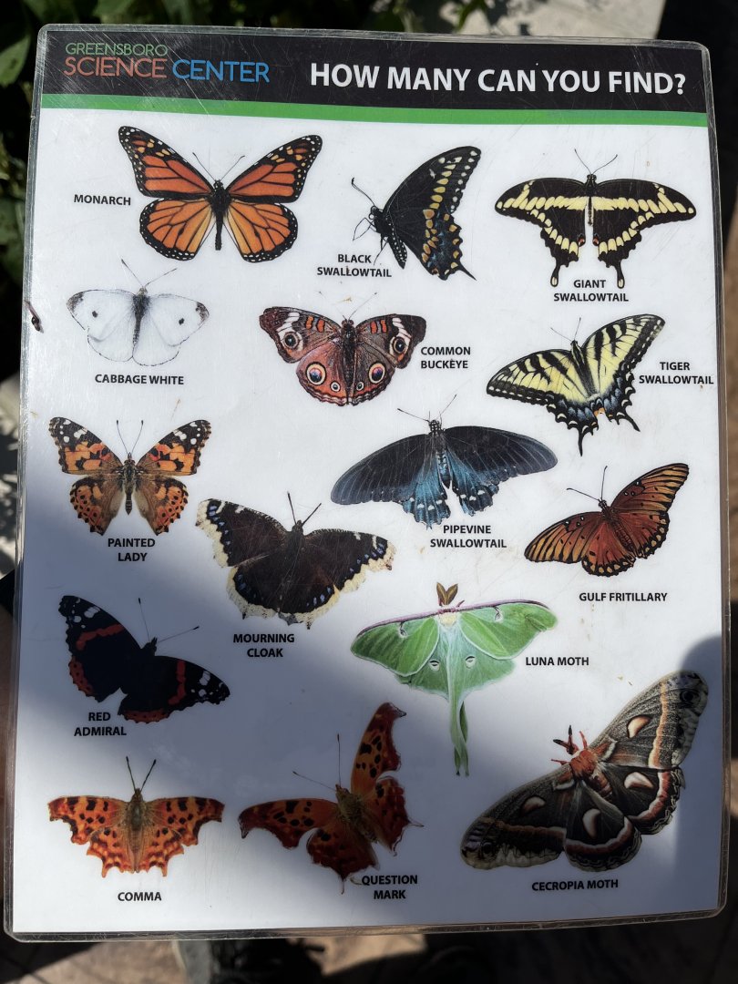 Butterfly Garden Species Pamphlet