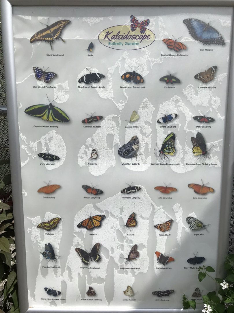 Butterfly Garden Species Signage