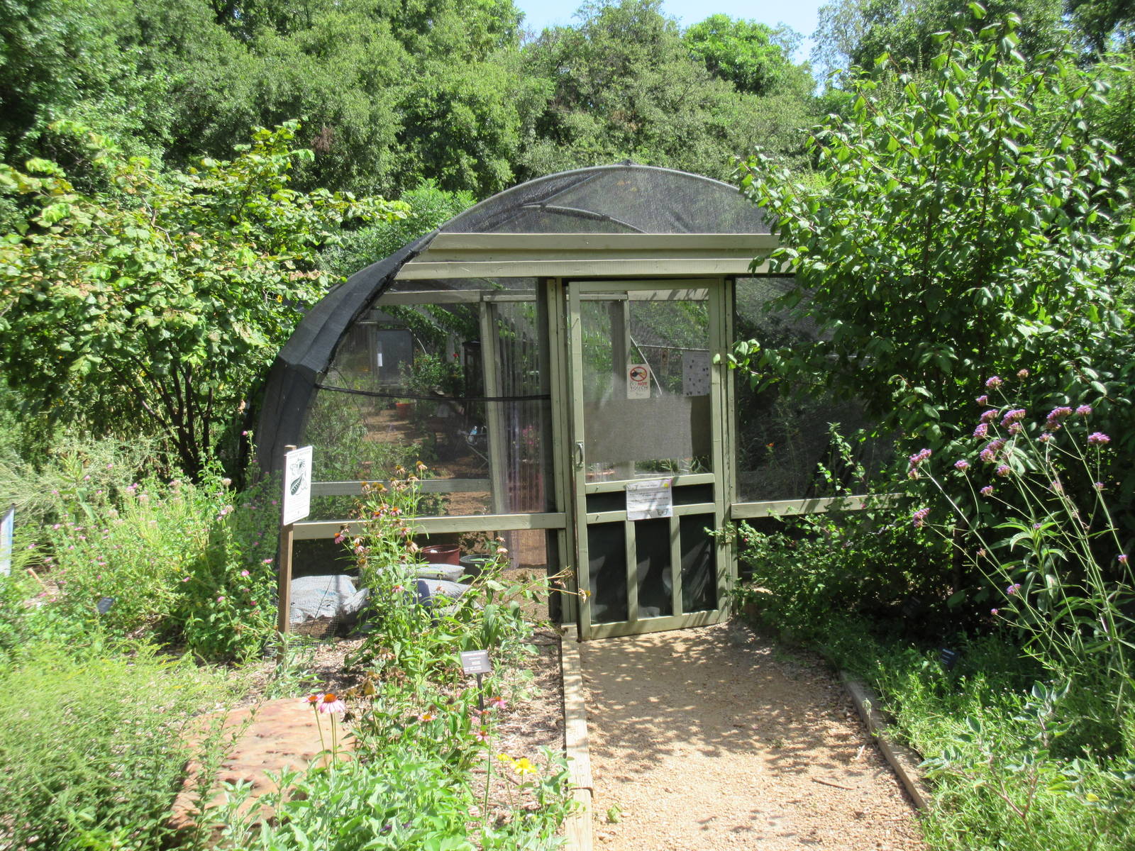 Butterfly Garden (walk-through area)