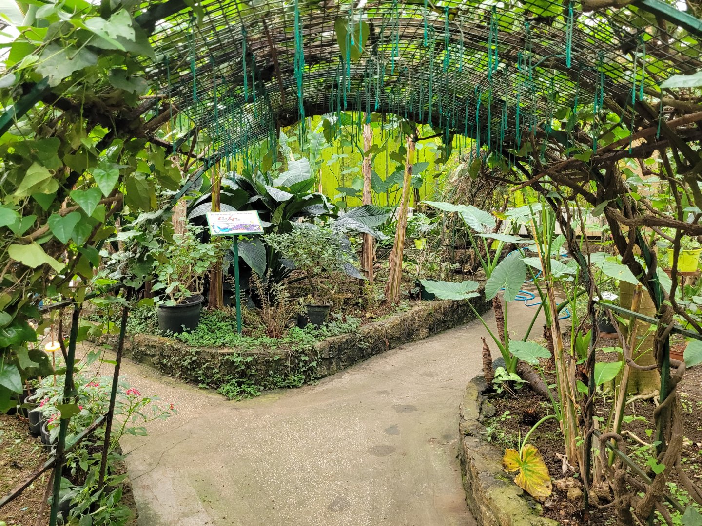 Butterfly garden -Zoo de Santillana del Mar (2023)