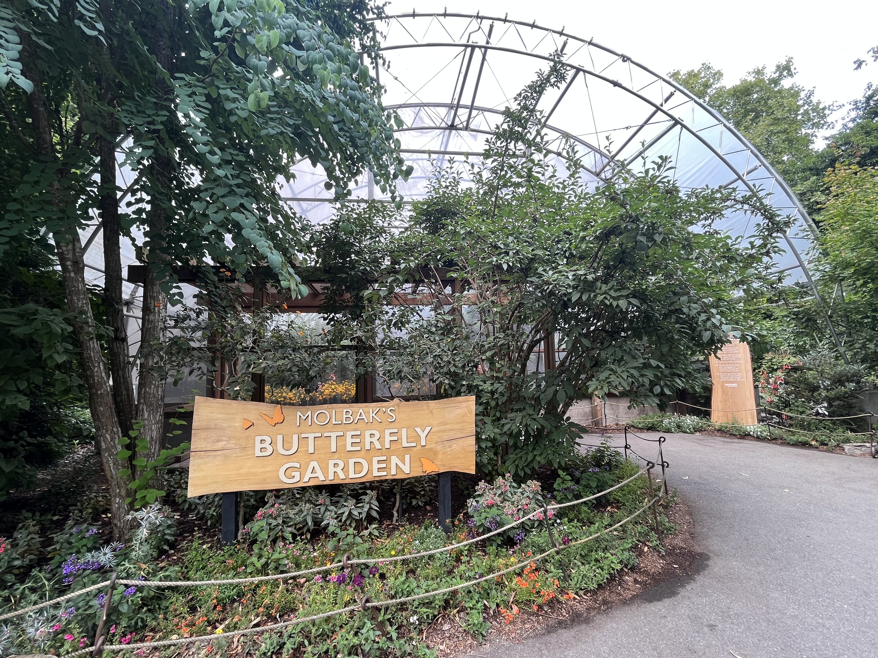 Butterfly Garden