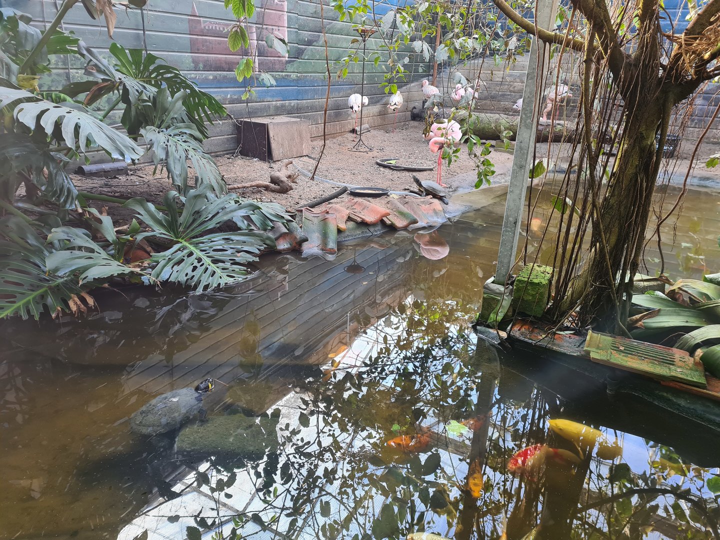 Butterfly hall - Flamingo beach