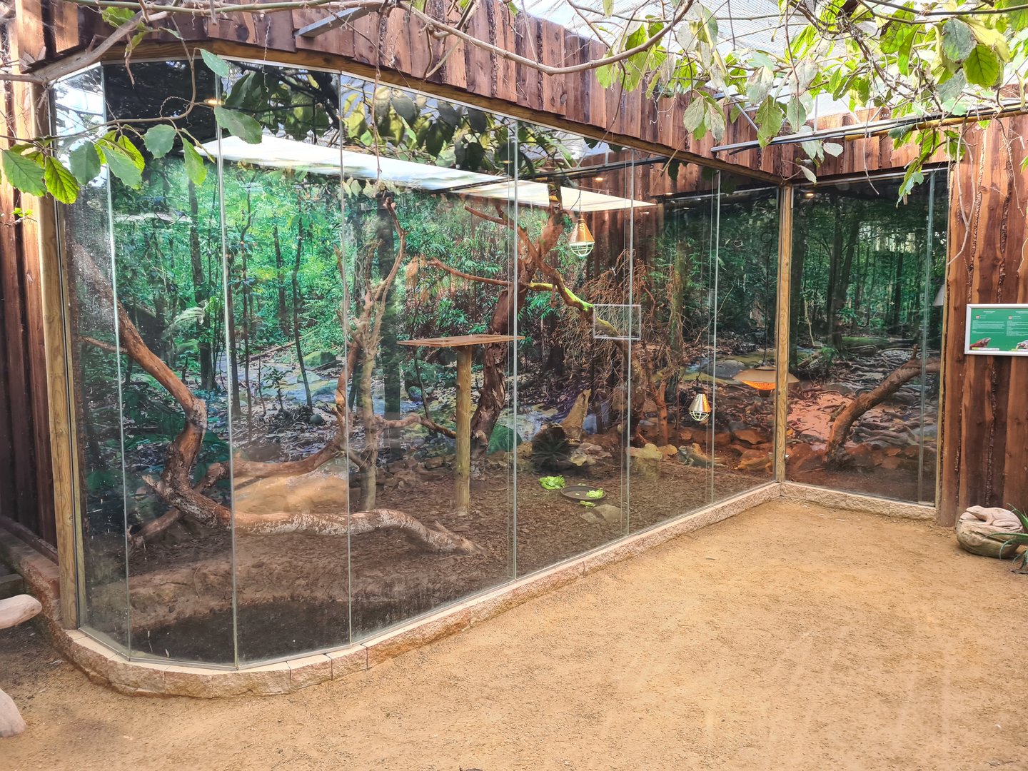 Butterfly hall - Iguana and Red-footed tortoise enclosure