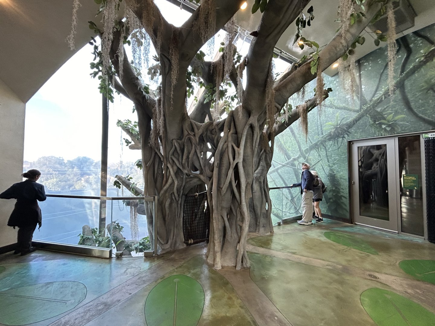 Butterfly Hall in Spineless Marvels - Wildlife Explorers Basecamp