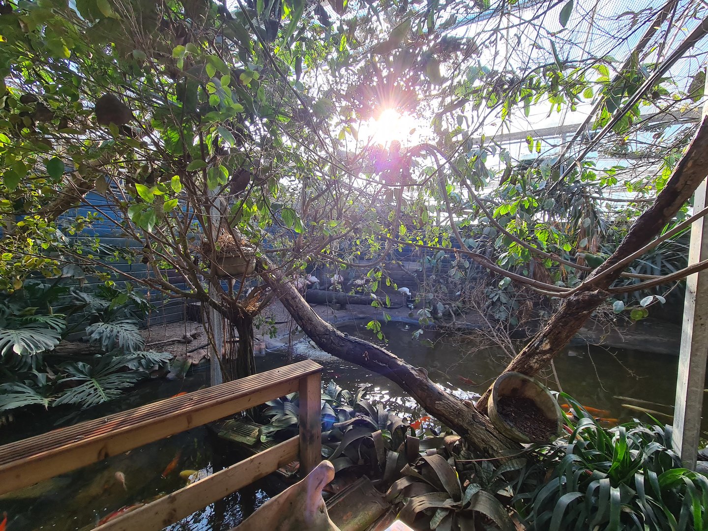 Butterfly hall - Pond