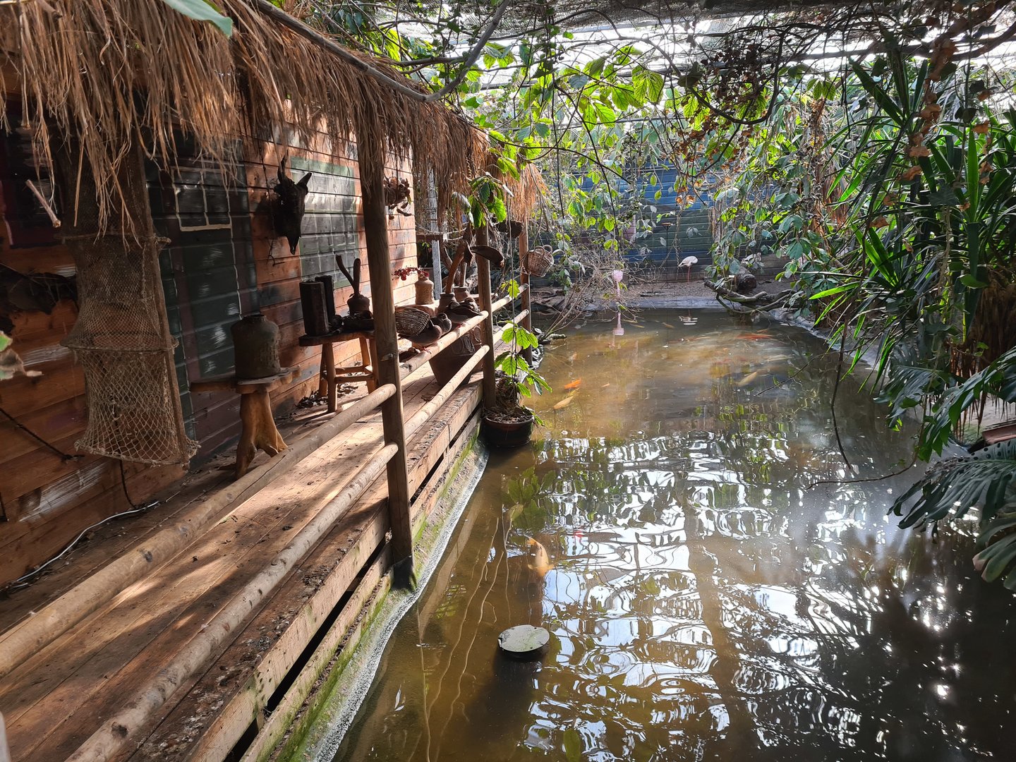 Butterfly hall - South American hut and Pond