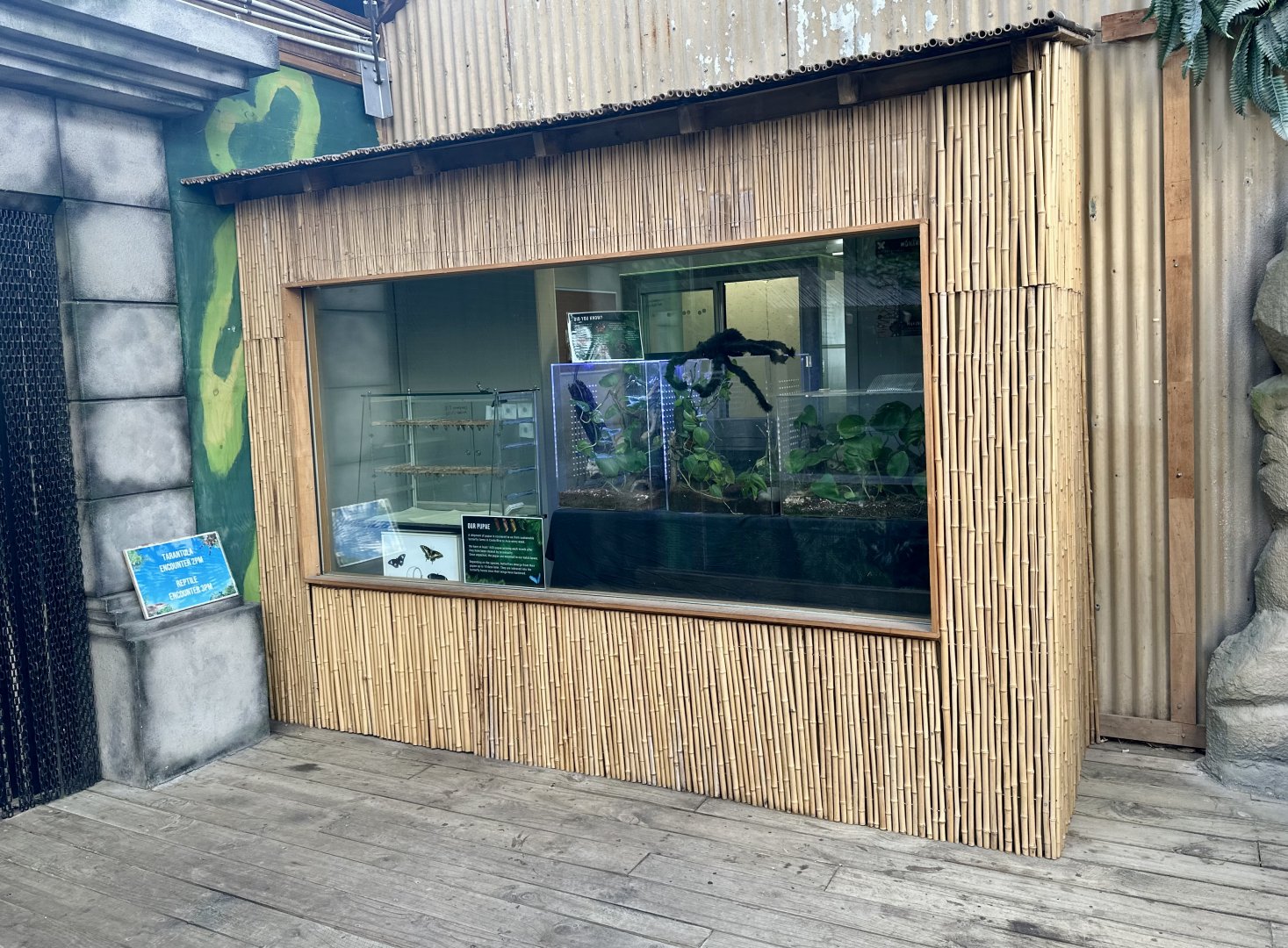 Butterfly Hatchery/Tarantula Exhibits