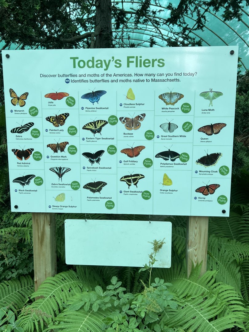 Butterfly Hollow Species List