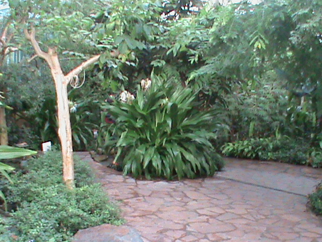 butterfly house 061110