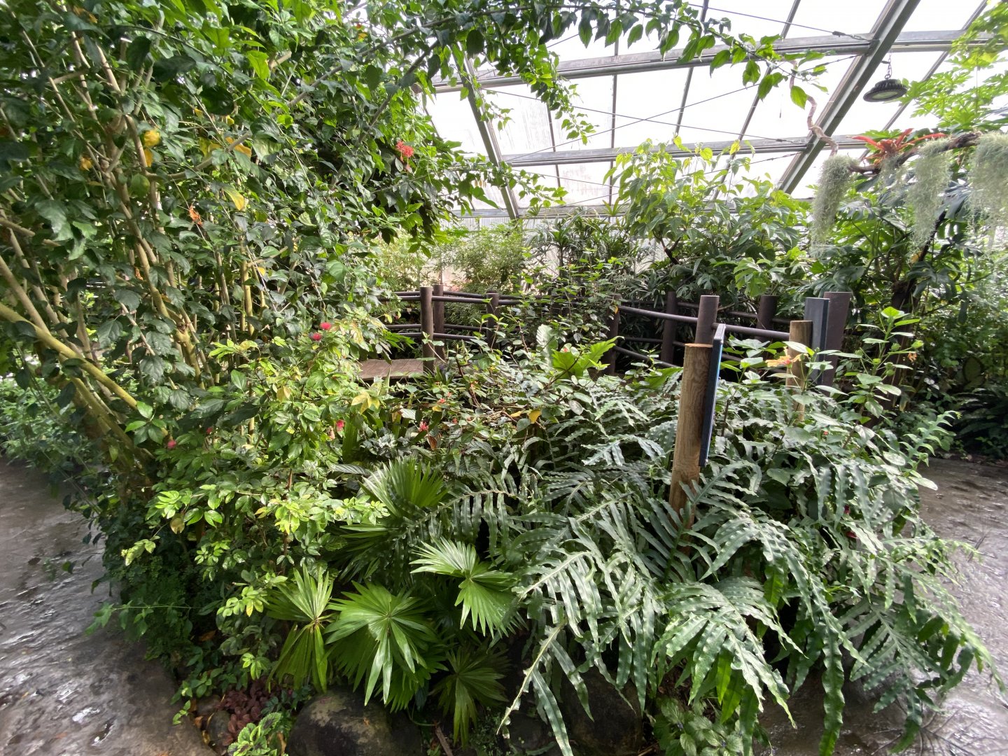 Butterfly House 081020