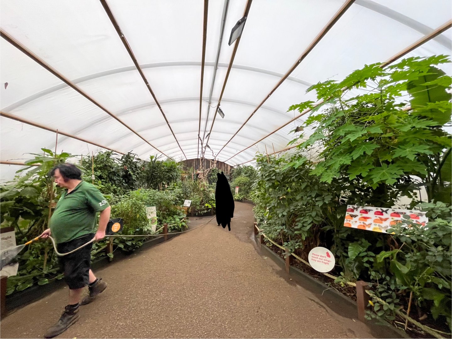 Butterfly house 11.2.25