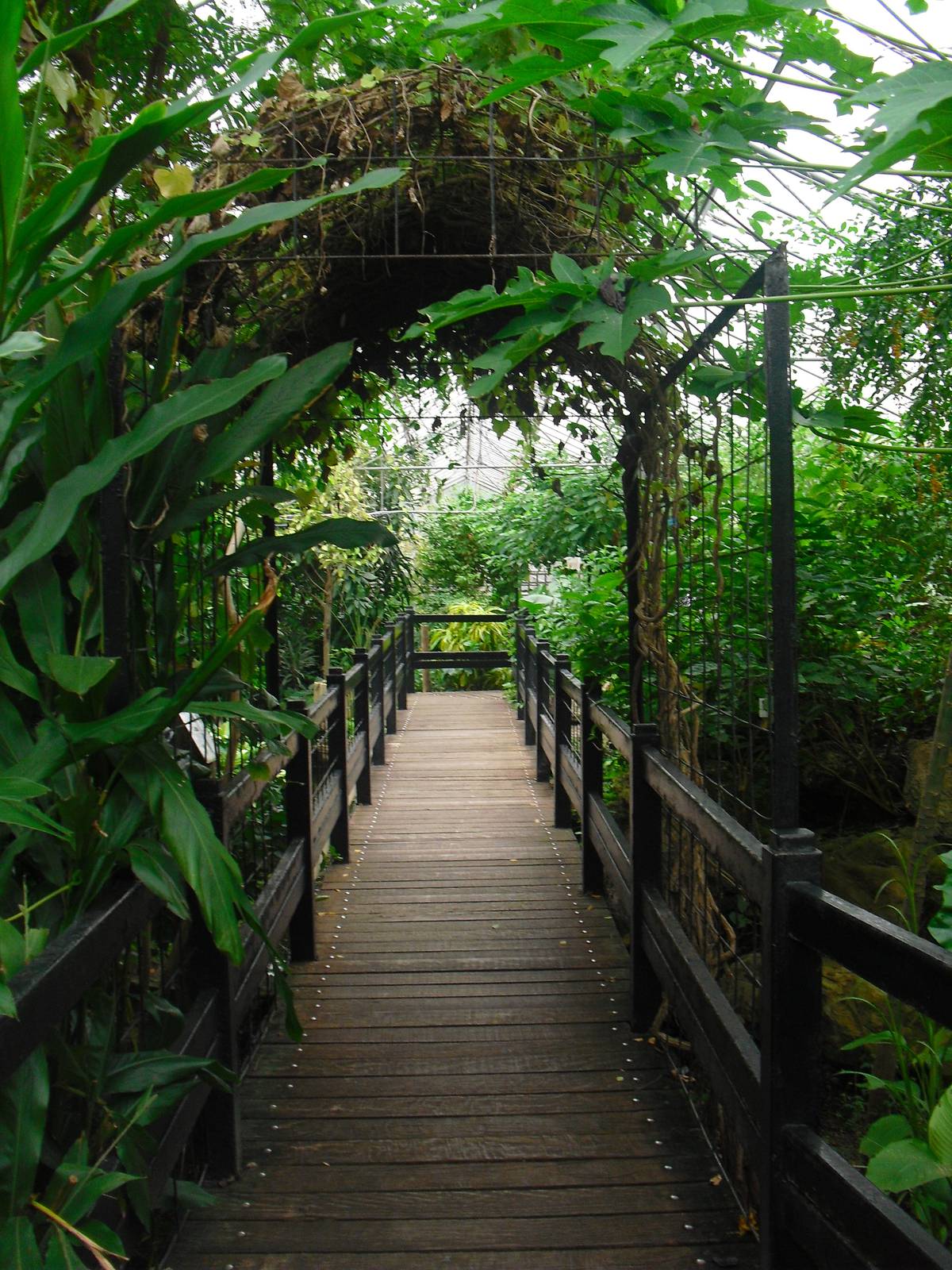 Butterfly House - 12/10/2011