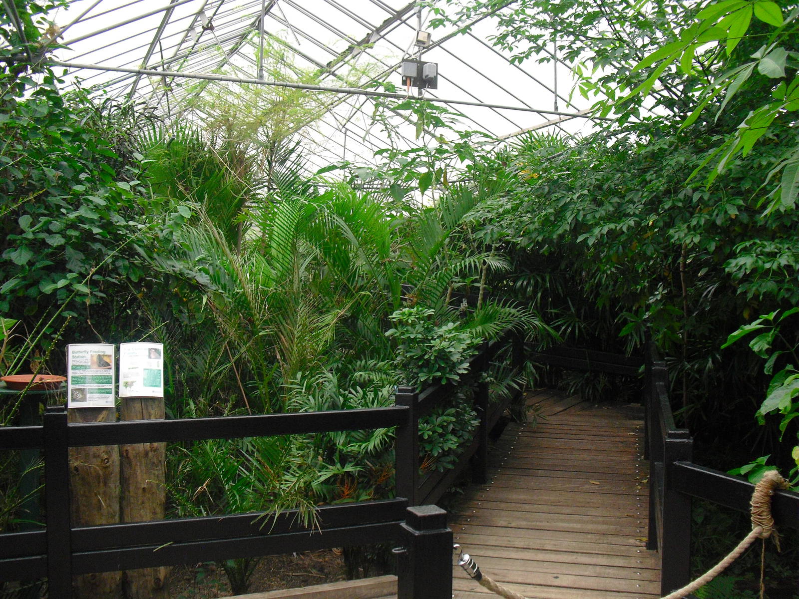 Butterfly House - 12/10/2011