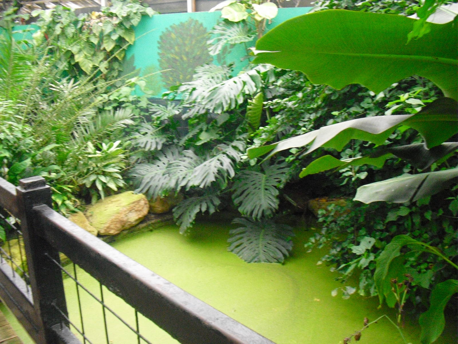 Butterfly House - 12/10/2011