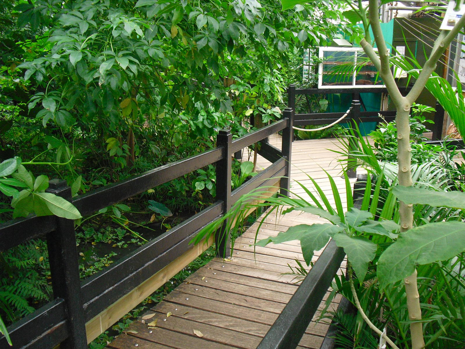 Butterfly House - 12/10/2011