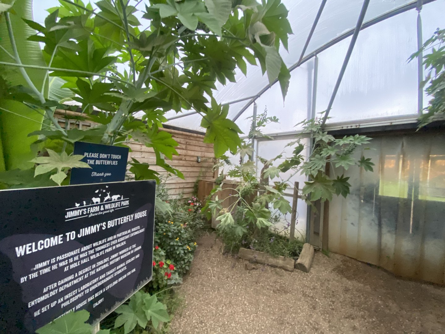 Butterfly House 130925