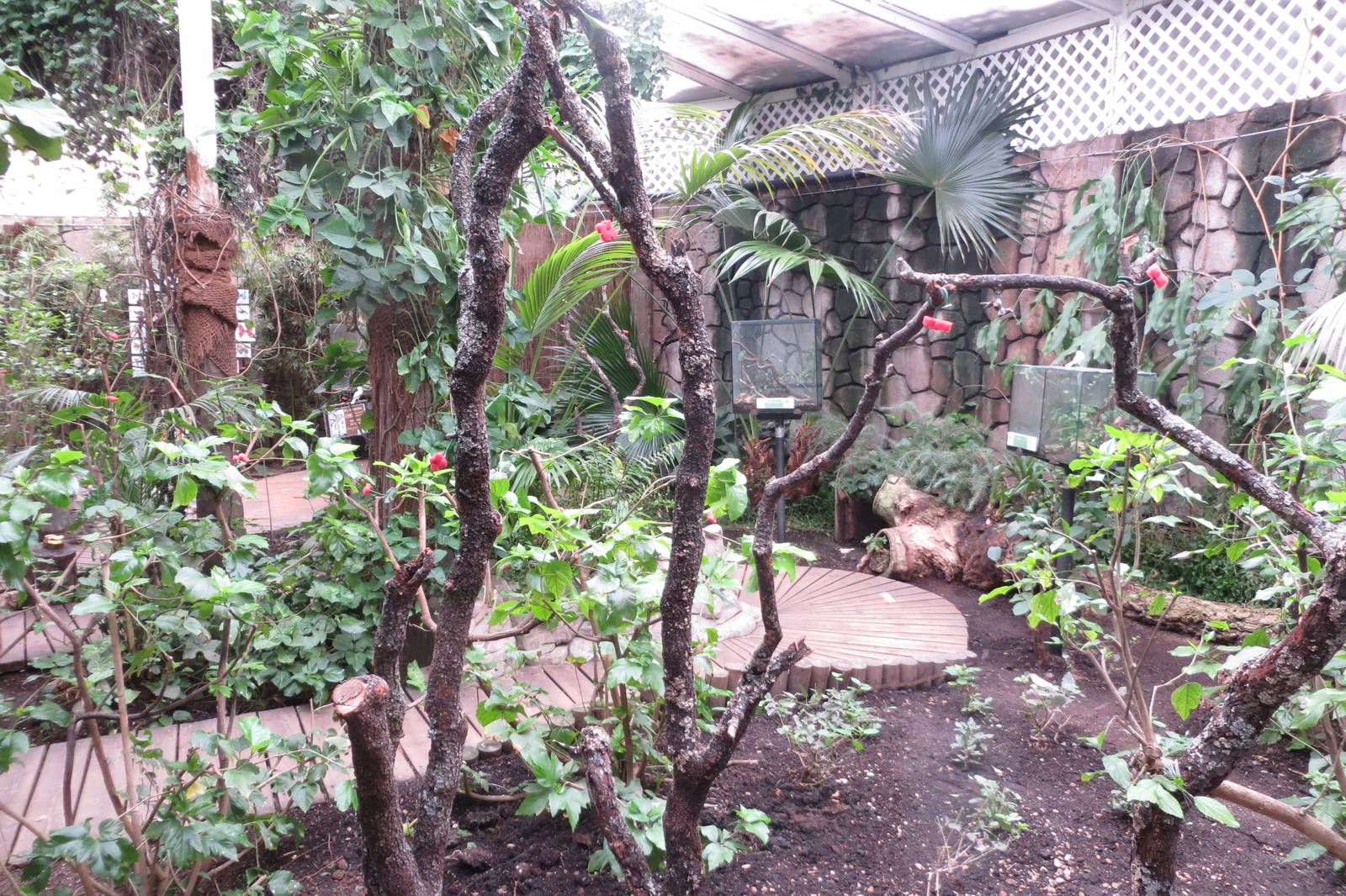 Butterfly House 140216