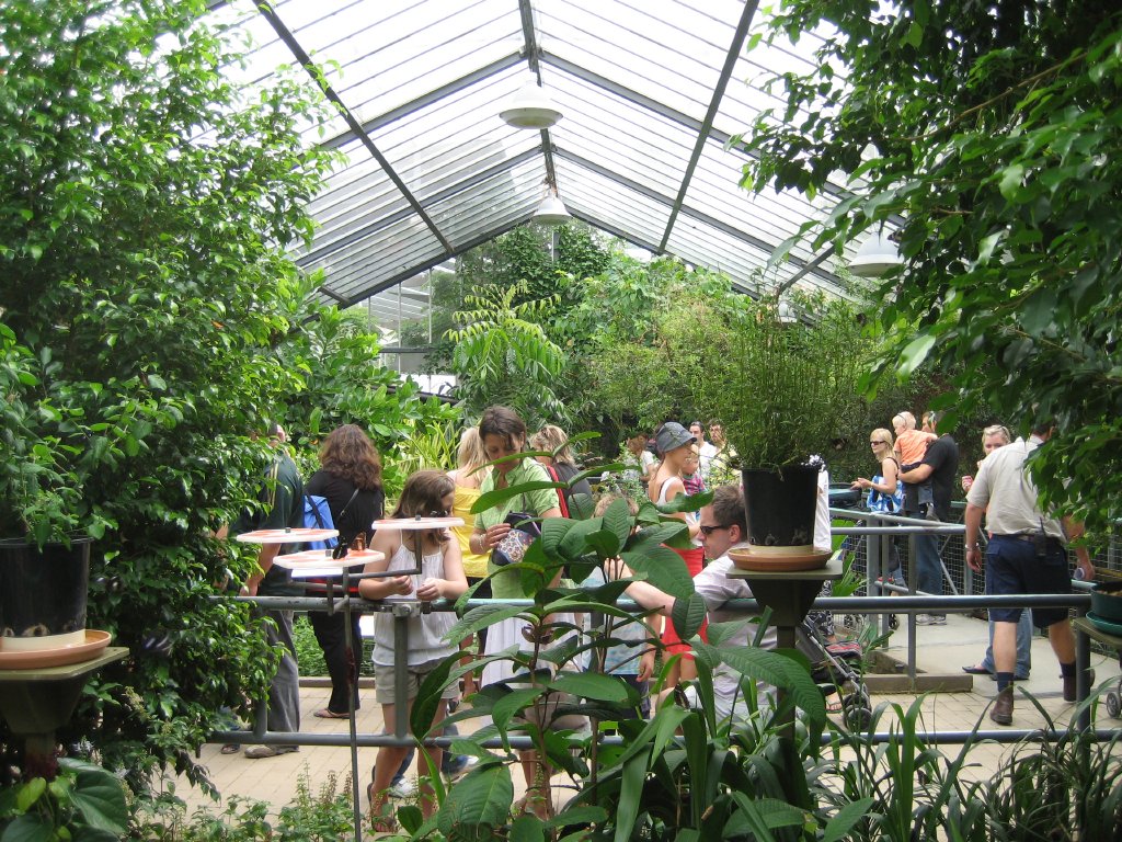 Butterfly House, 2007