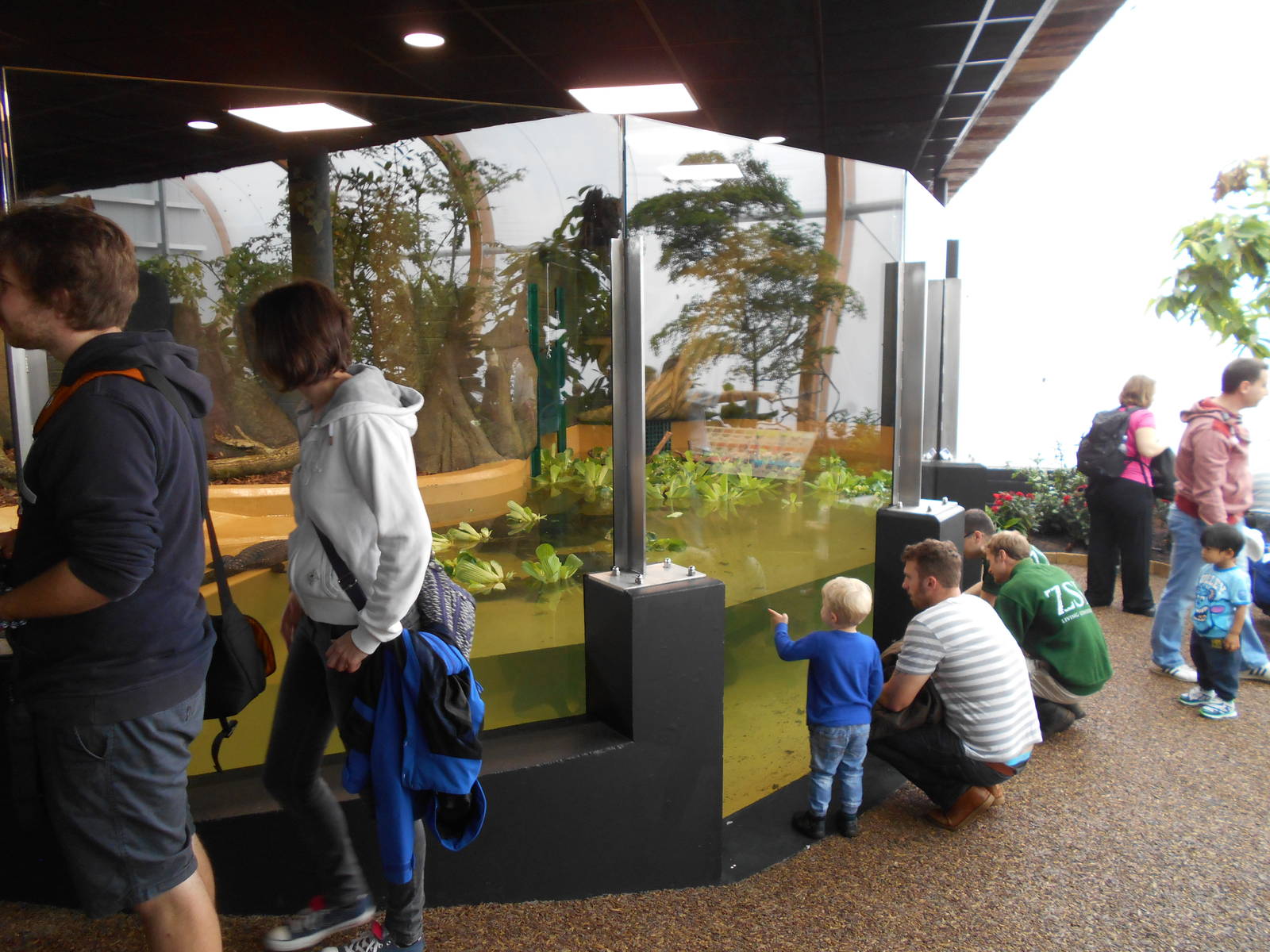 Butterfly House - 23/05/2015