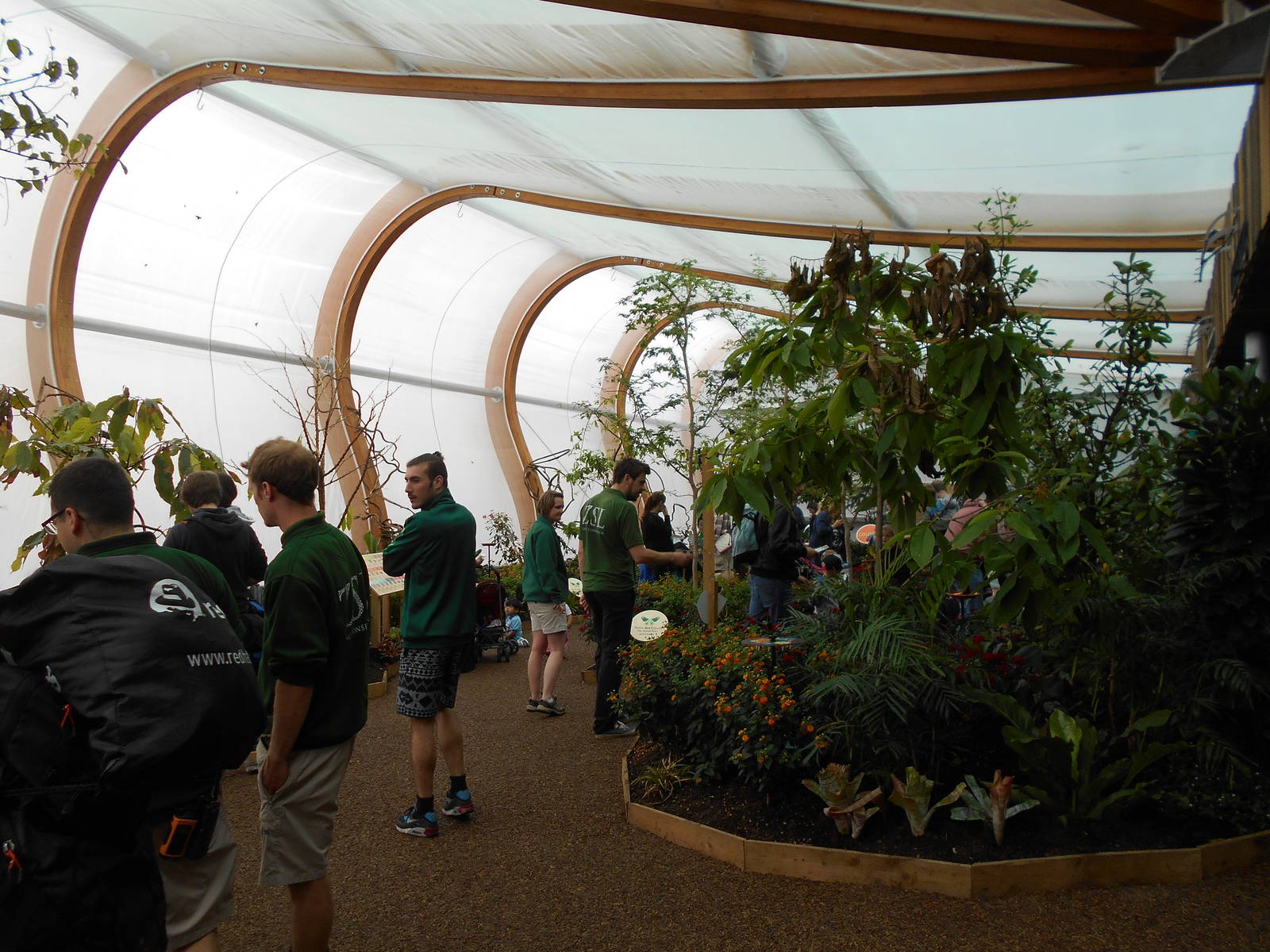 Butterfly House - 23/05/2015