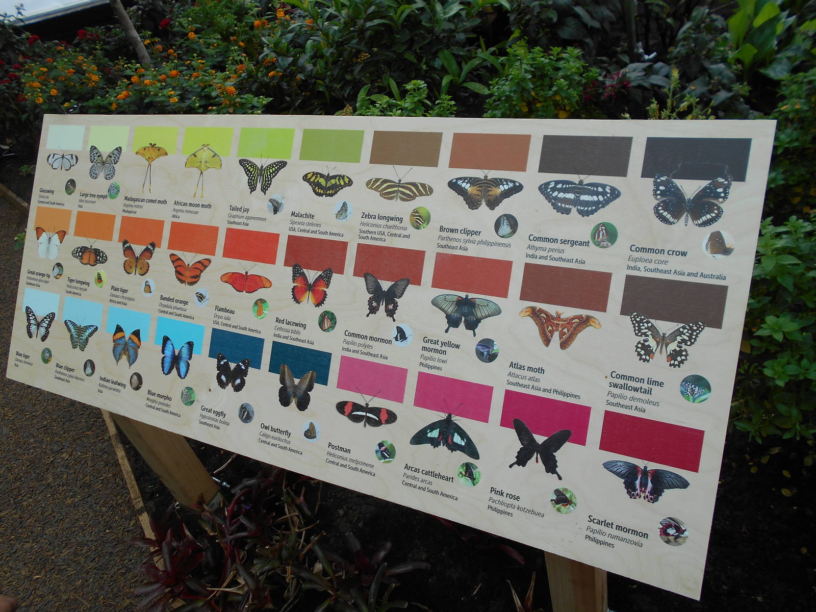 Butterfly House - 23/05/2015