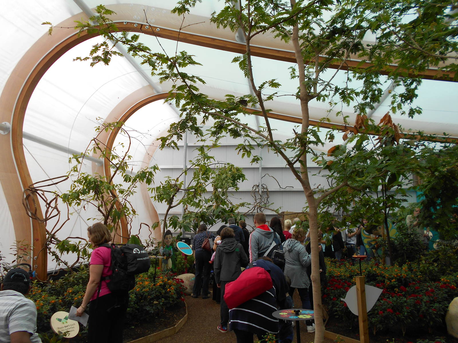 Butterfly House - 23/05/2015