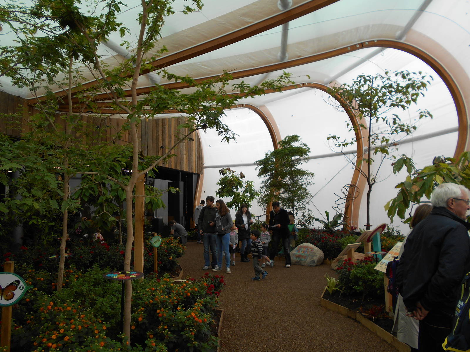 Butterfly House - 23/05/2015