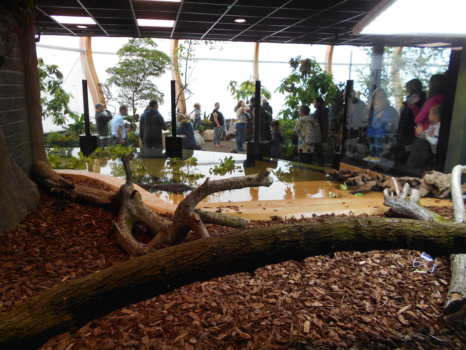 Butterfly House - 23/05/2015