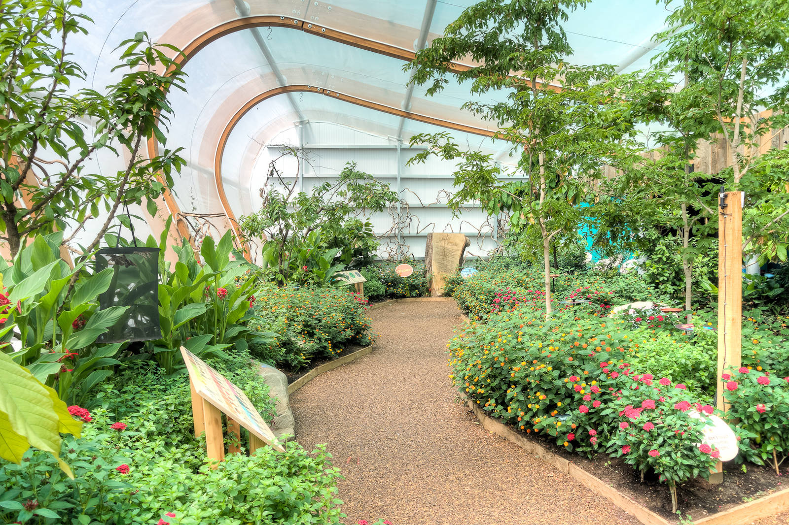 Butterfly House - 27/06/2015