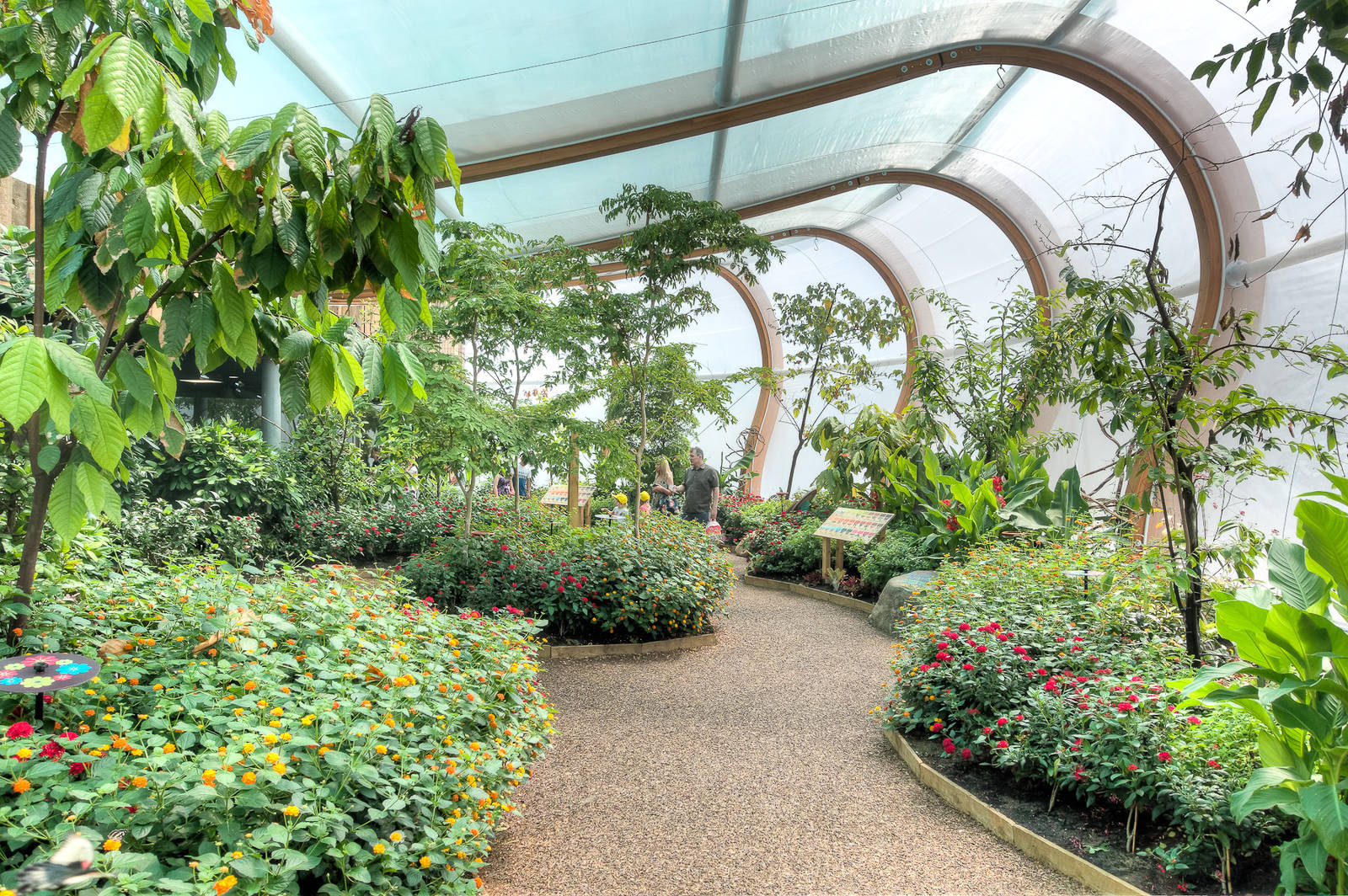 Butterfly House - 27/06/2015