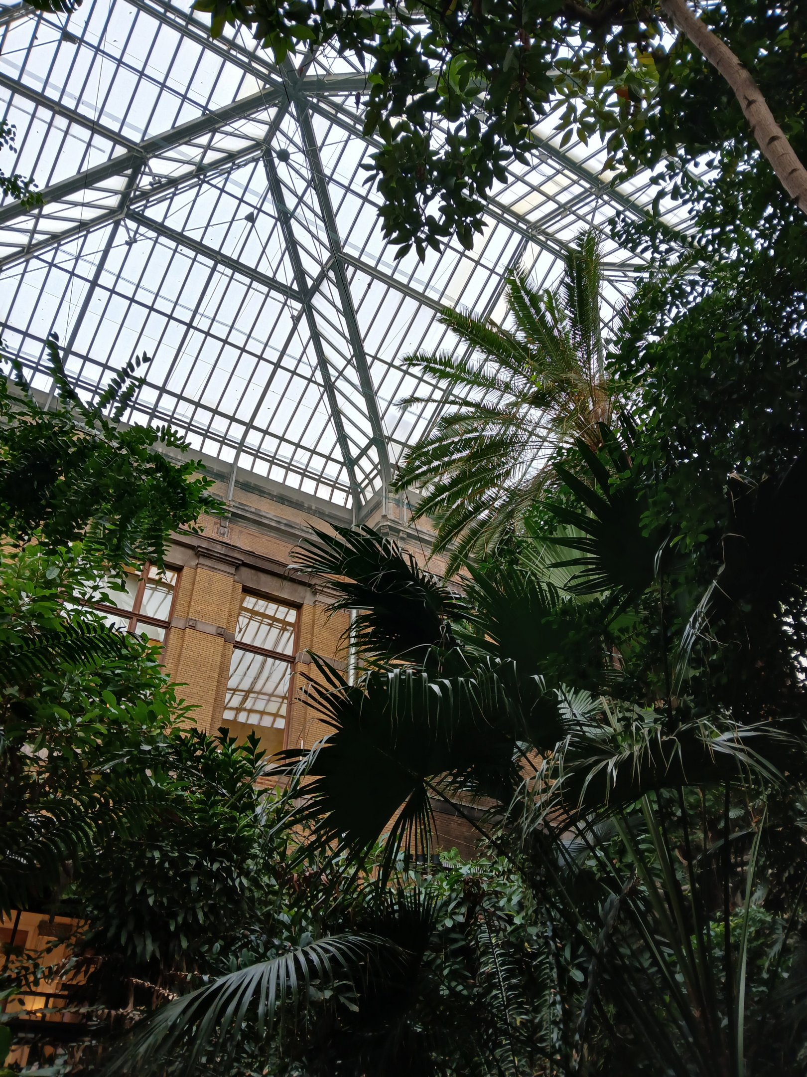 Butterfly House (30th September 2025)