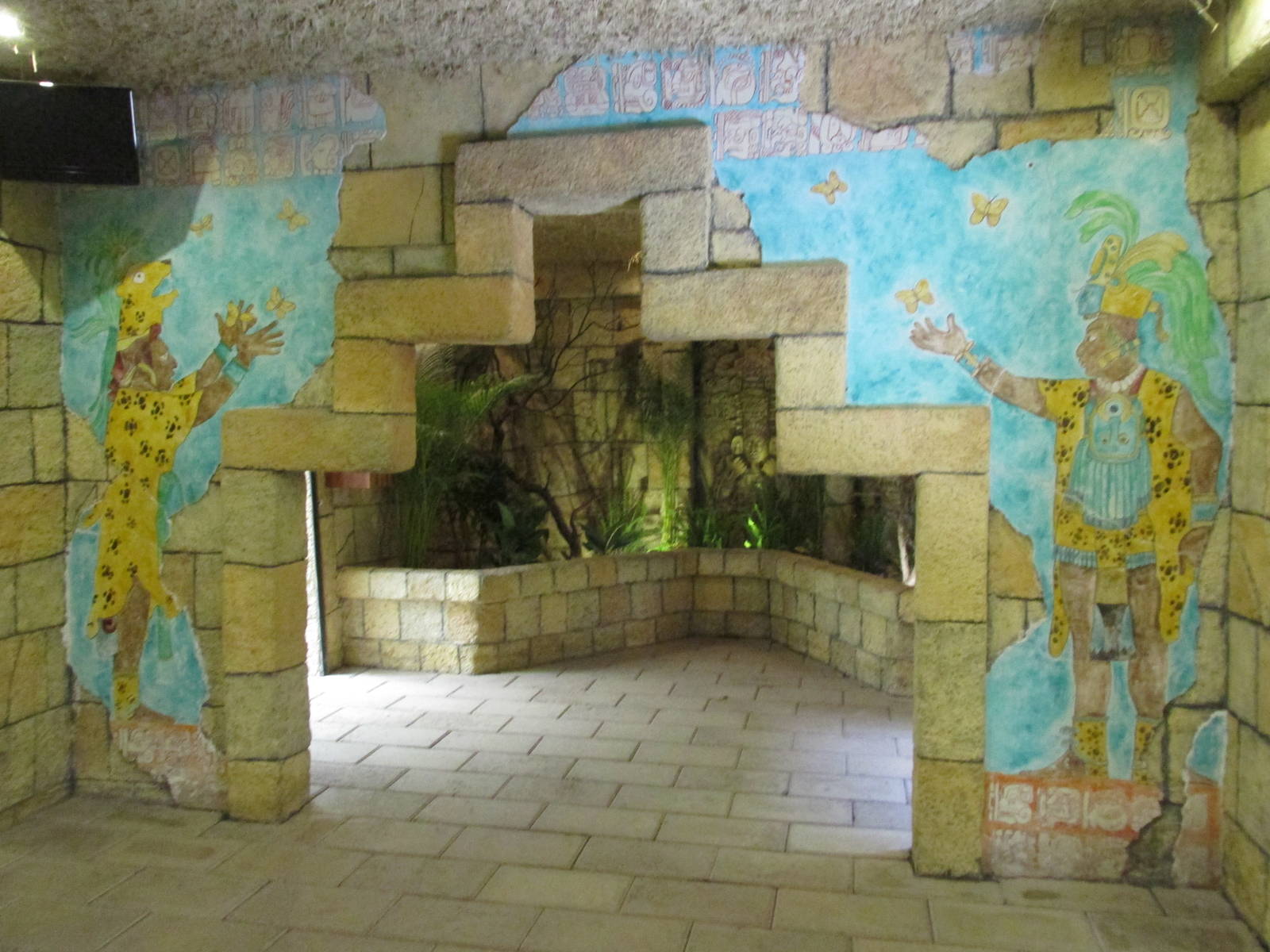 butterfly house africam safari