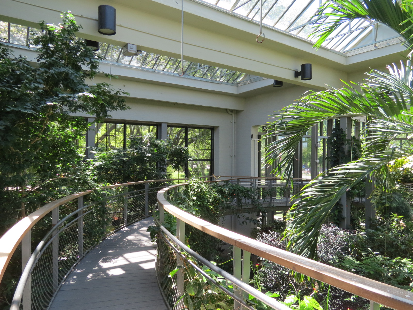 Butterfly House - Elevated Path