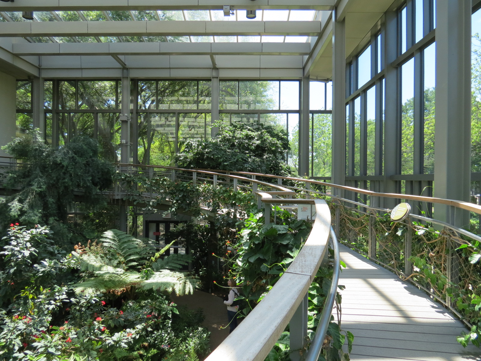 Butterfly House - Elevated Path