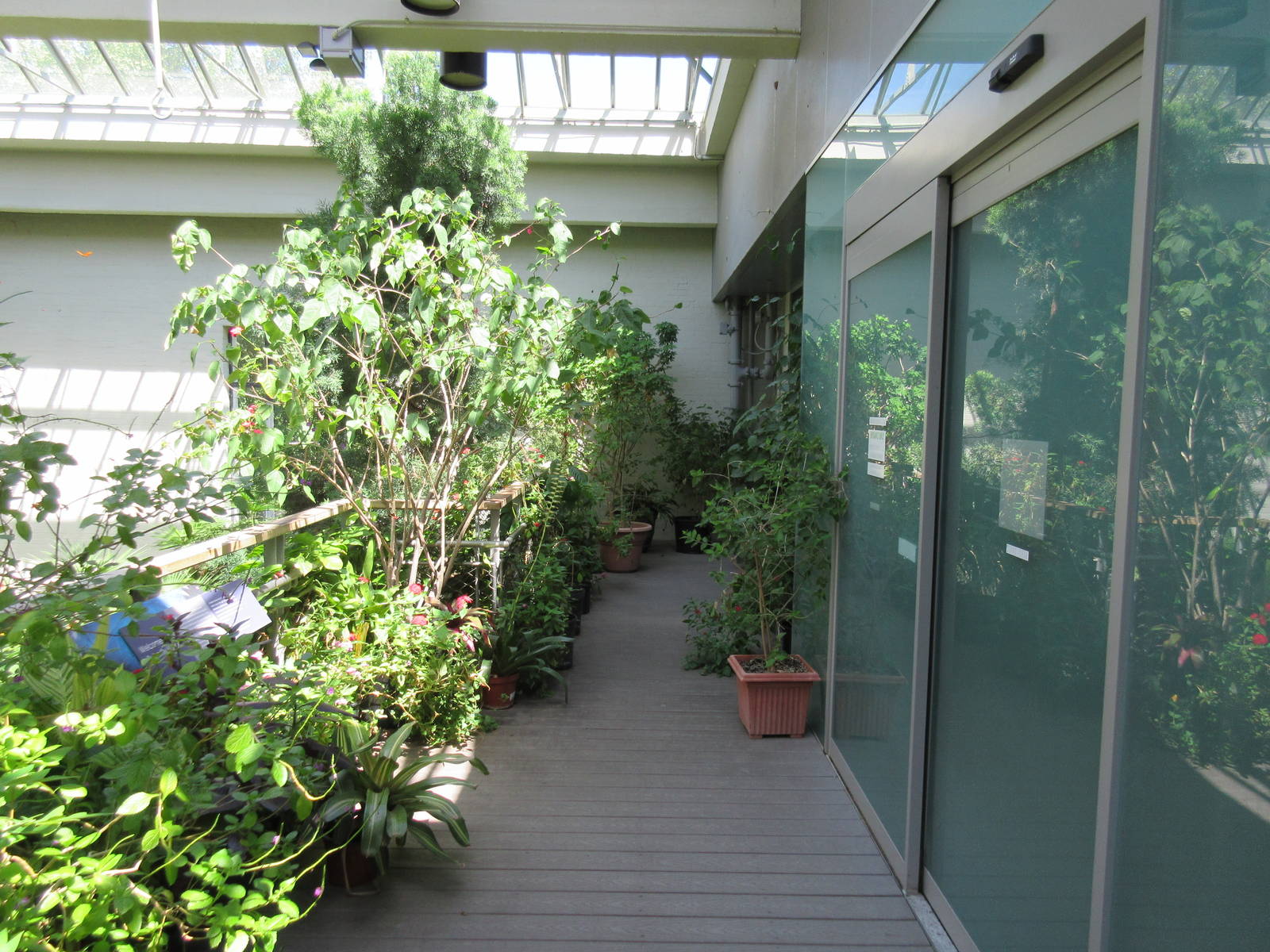 Butterfly House - Entrance Area