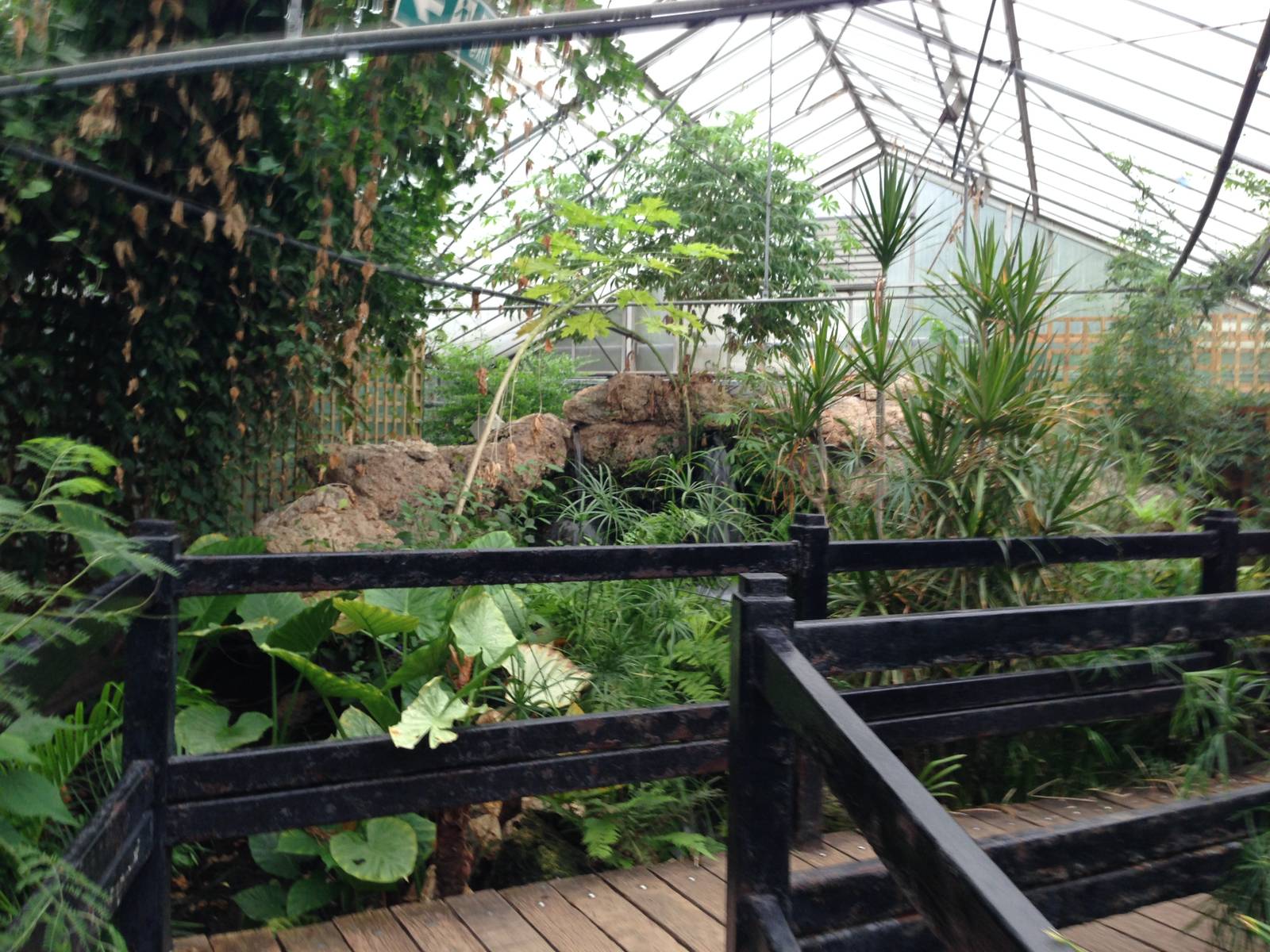 Butterfly House General View at Tropical World - 02/10/2013