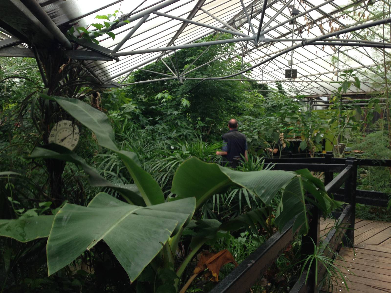 Butterfly House General View at Tropical World - 02/10/2013