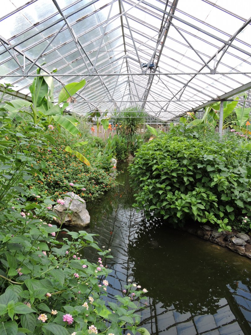 Butterfly House General View