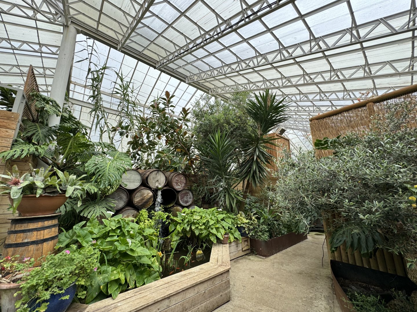 Butterfly House Interior at Woodside Wildlife Park (May 2024)