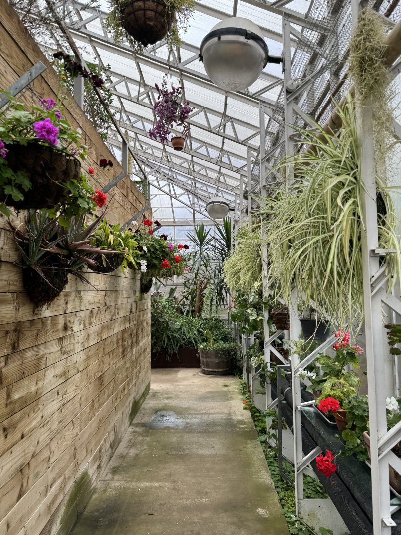 Butterfly House Interior at Woodside Wildlife Park