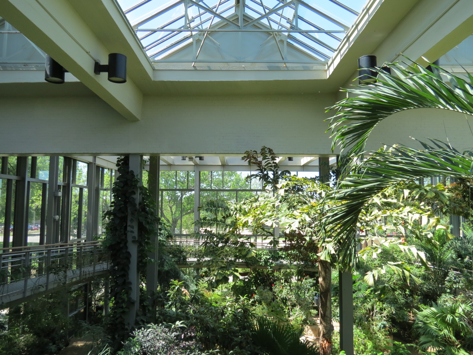 Butterfly House - Interior