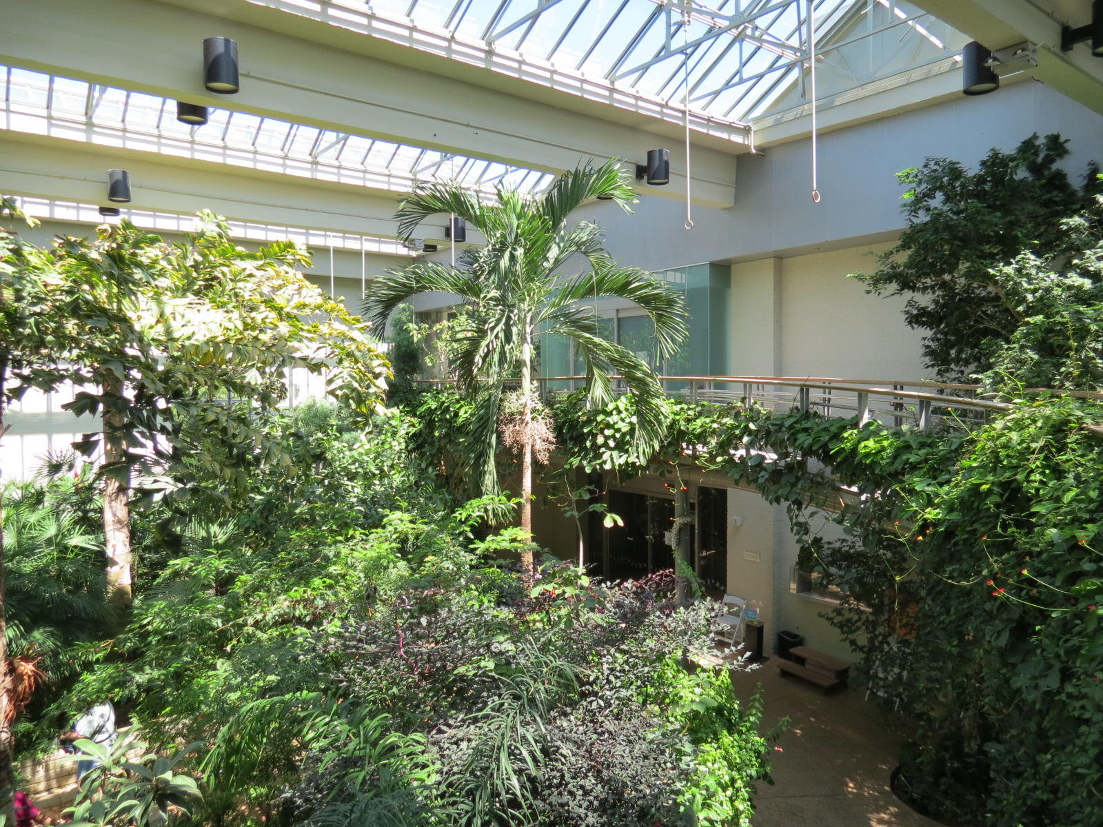Butterfly House - Interior