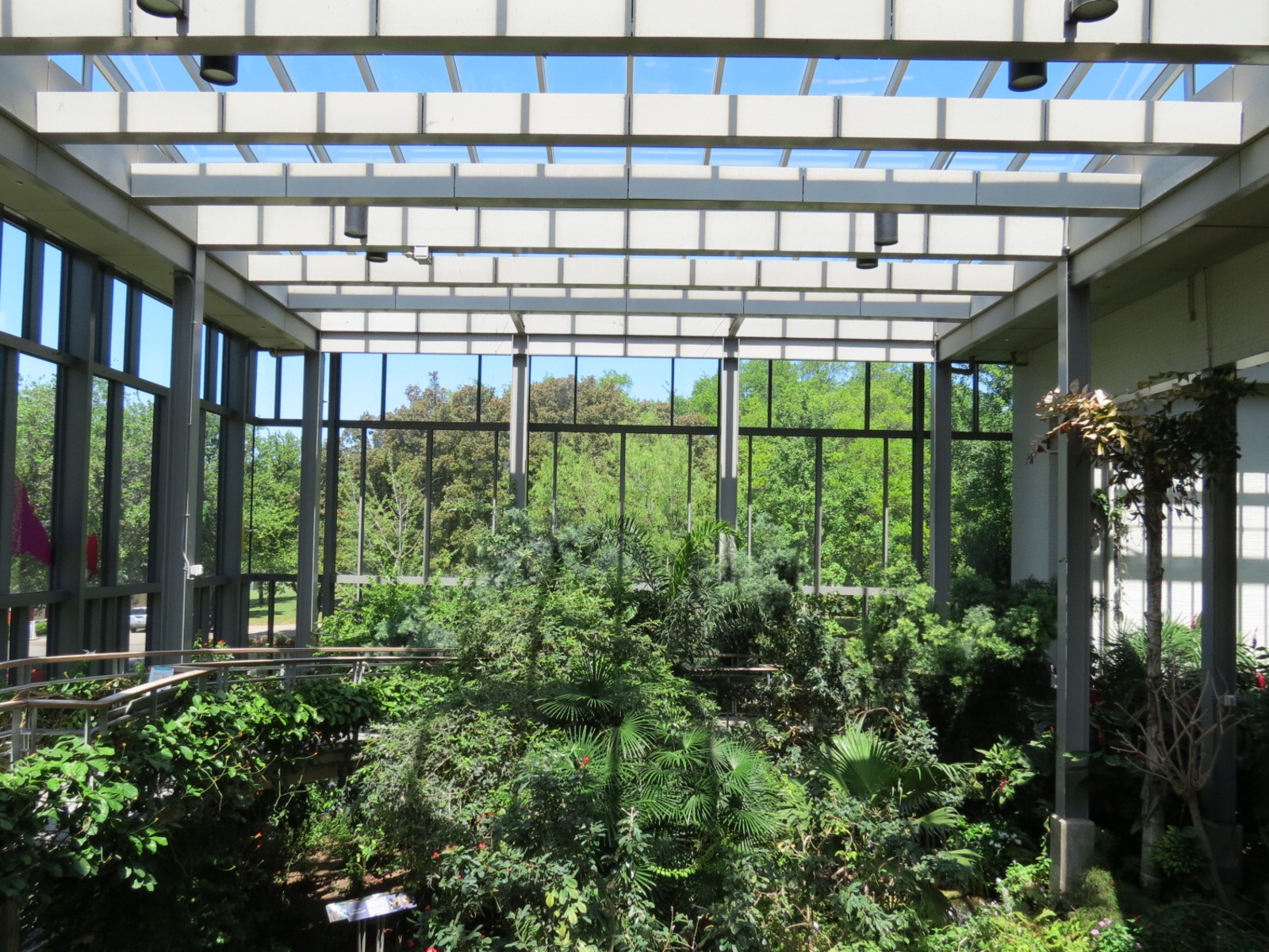 Butterfly House - Interior