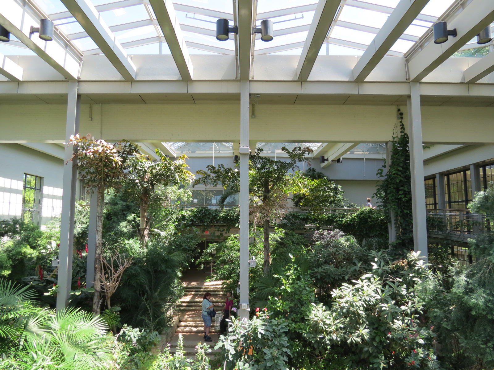 Butterfly House - Interior