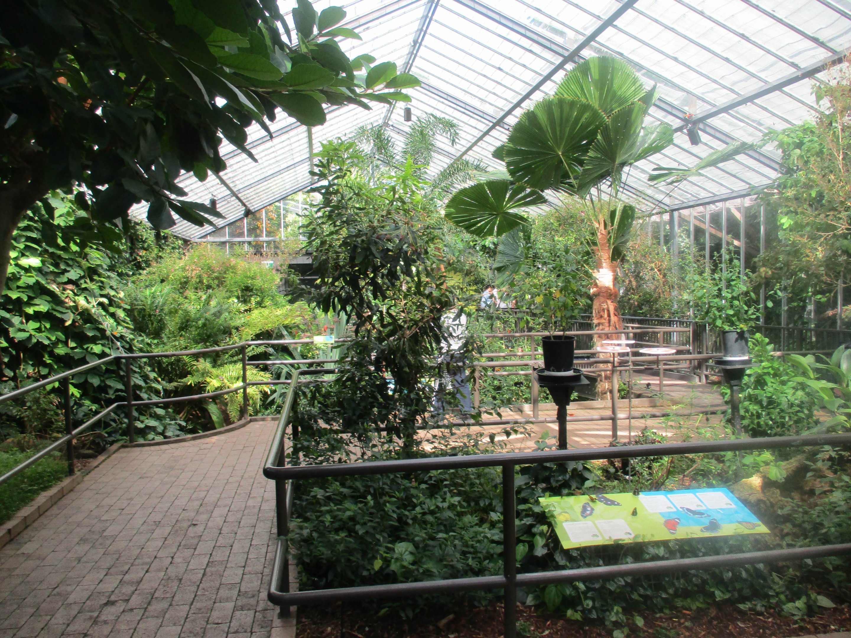 Butterfly House Interior
