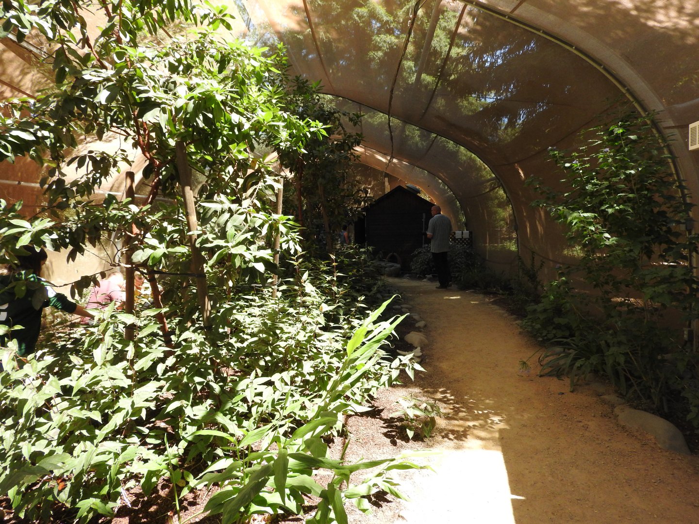 Butterfly House interior
