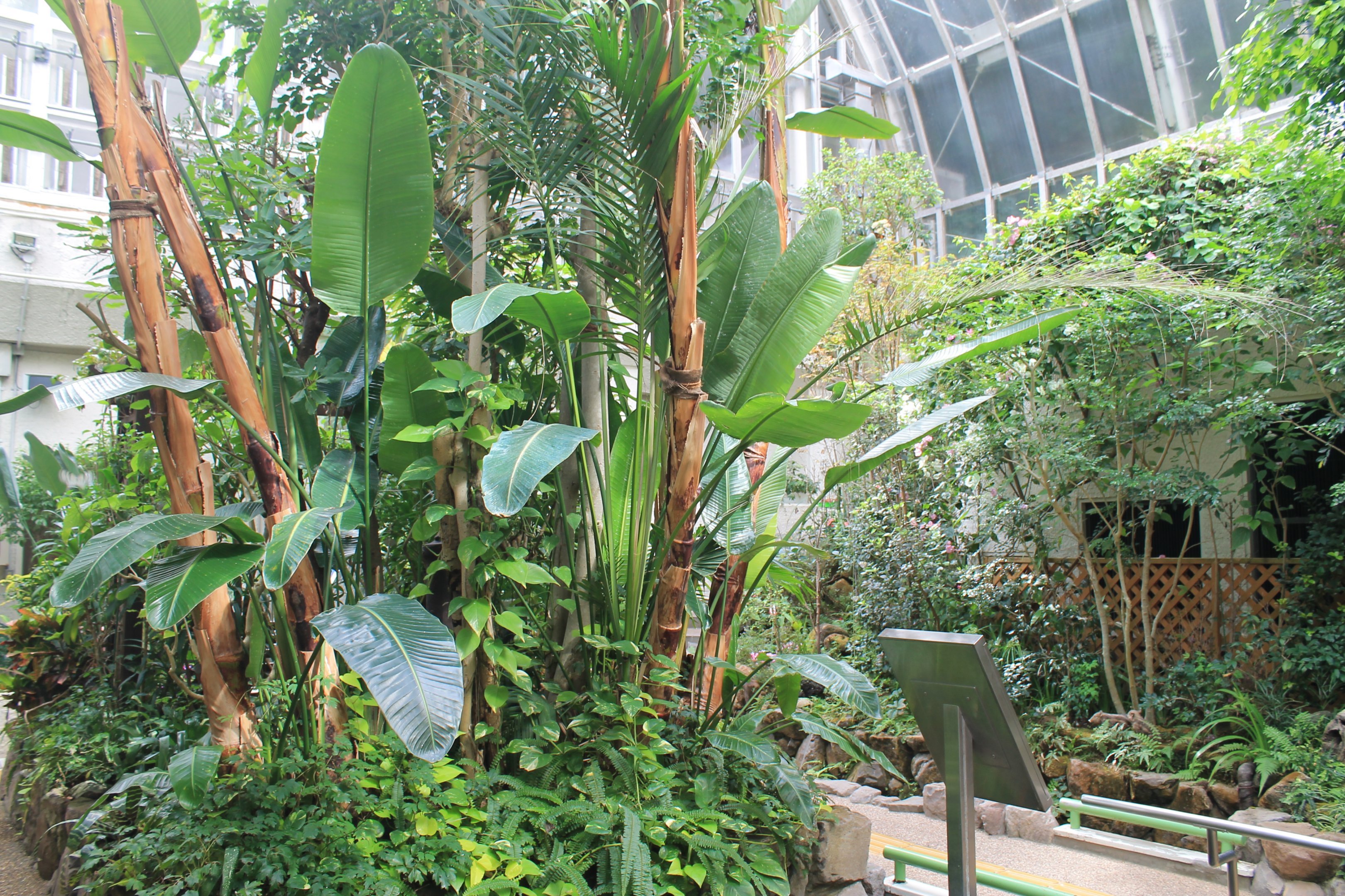 Butterfly House - Minoh Park Insect Museum (Osaka)