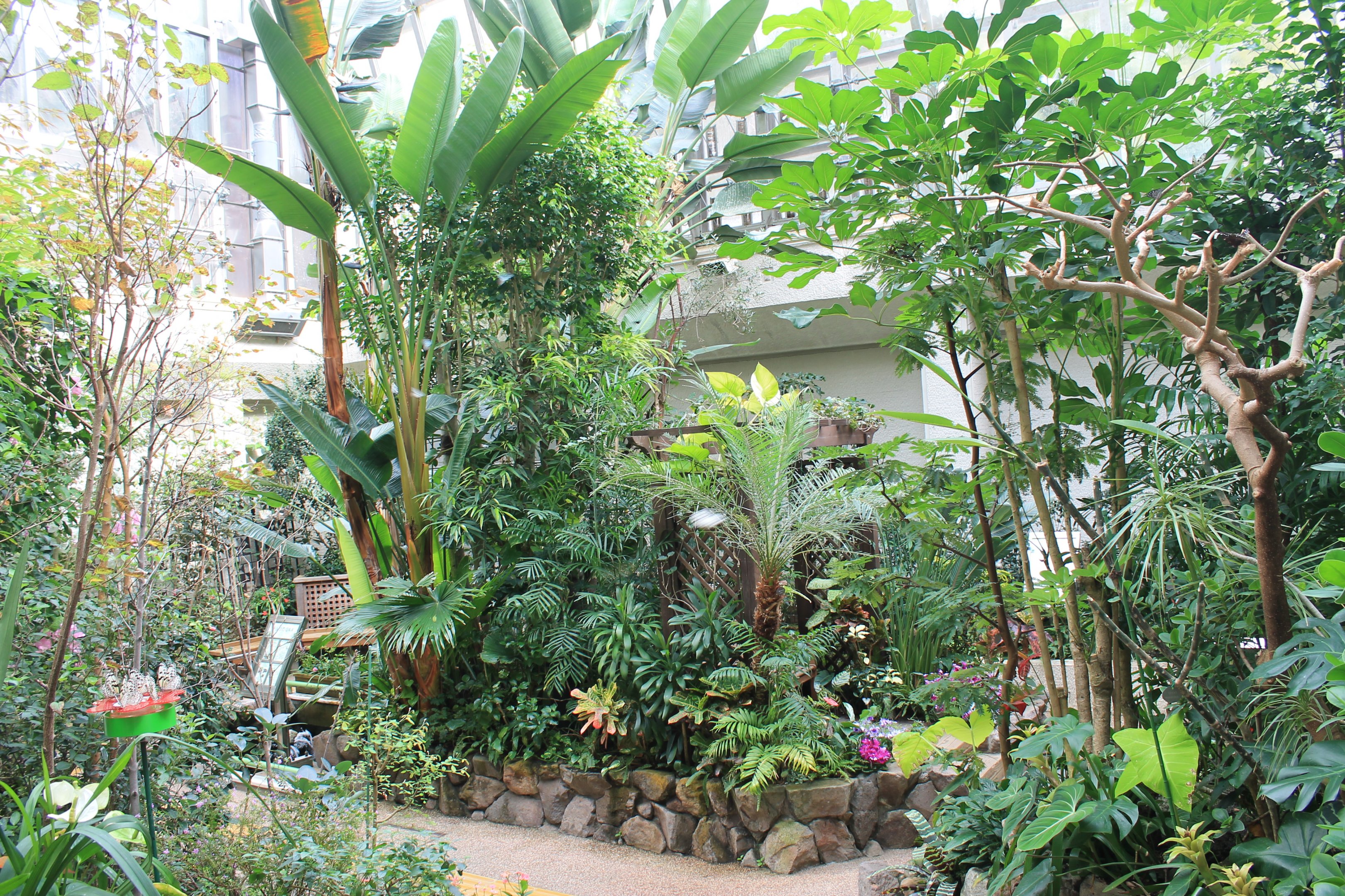 Butterfly House - Minoh Park Insect Museum (Osaka)