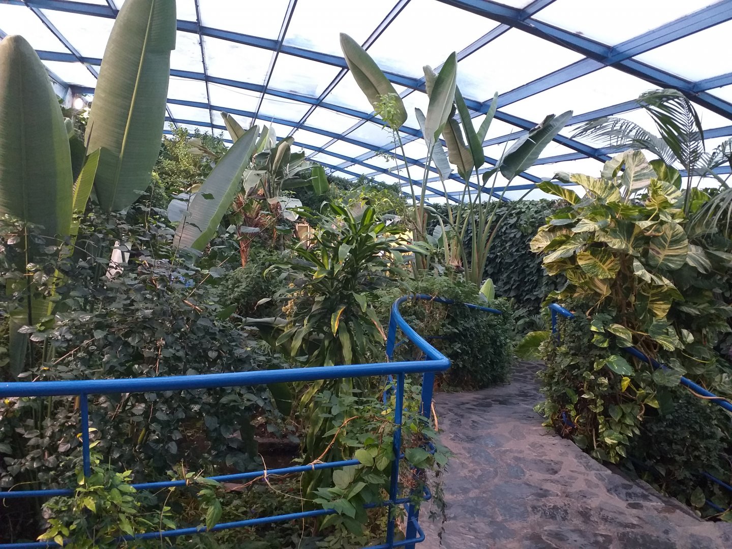 Butterfly house -Parque de las Ciencias (2019)